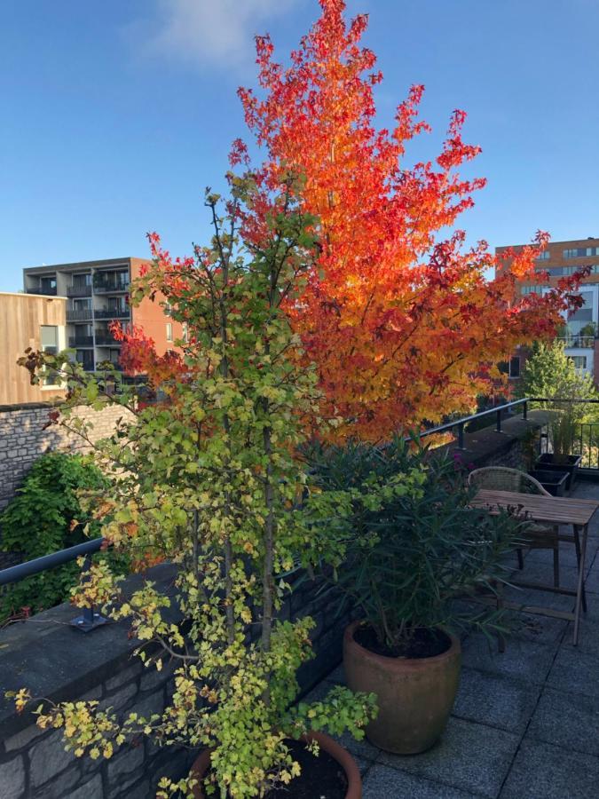 B&B De Zwanebloem Amsterdam Buitenkant foto